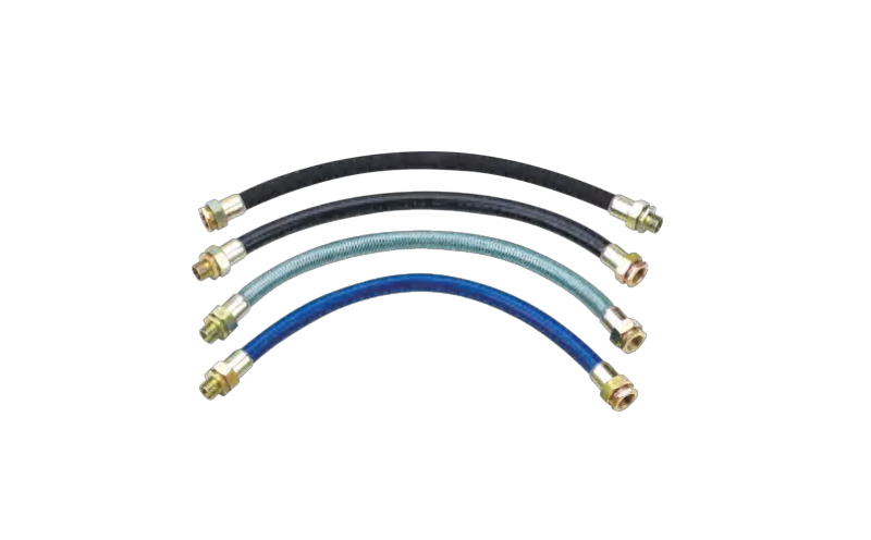 BNG-系列防爆挠性连接管